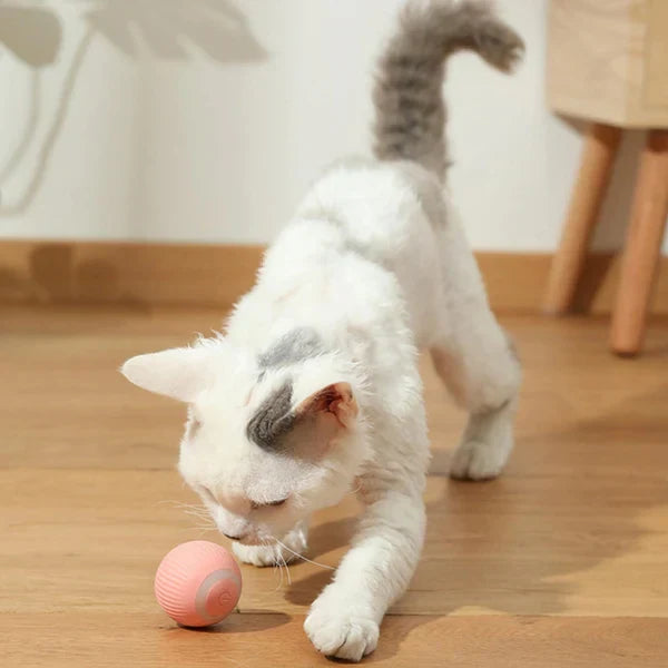 RoboRoller | Automatische rollende magische bal voor katten en honden