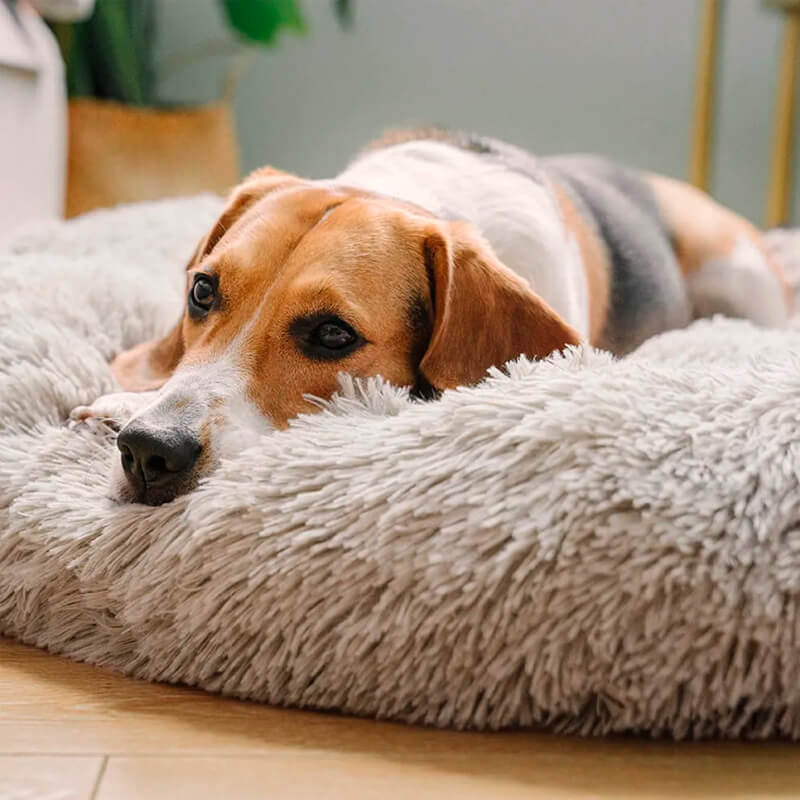 The Original Calming Dog Bed