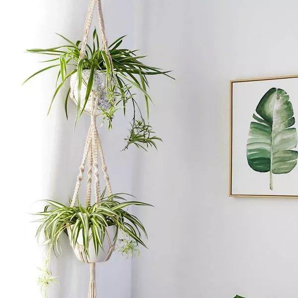 Set de 4 suporturi pentru plante din macrame handmade în stil boho