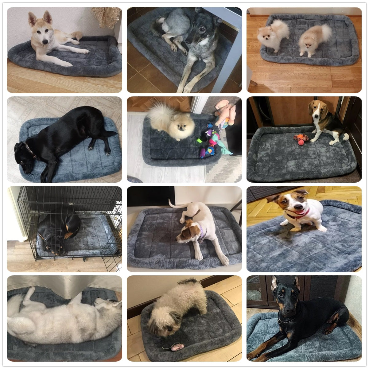 Royal Retreat: Luxurious Cotton Pet Bed for Cats & Dogs