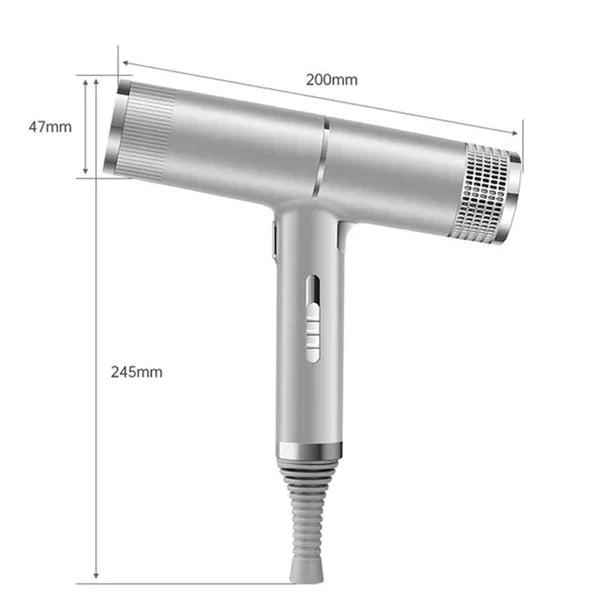 Professional Ionic Blow Hair Dryer