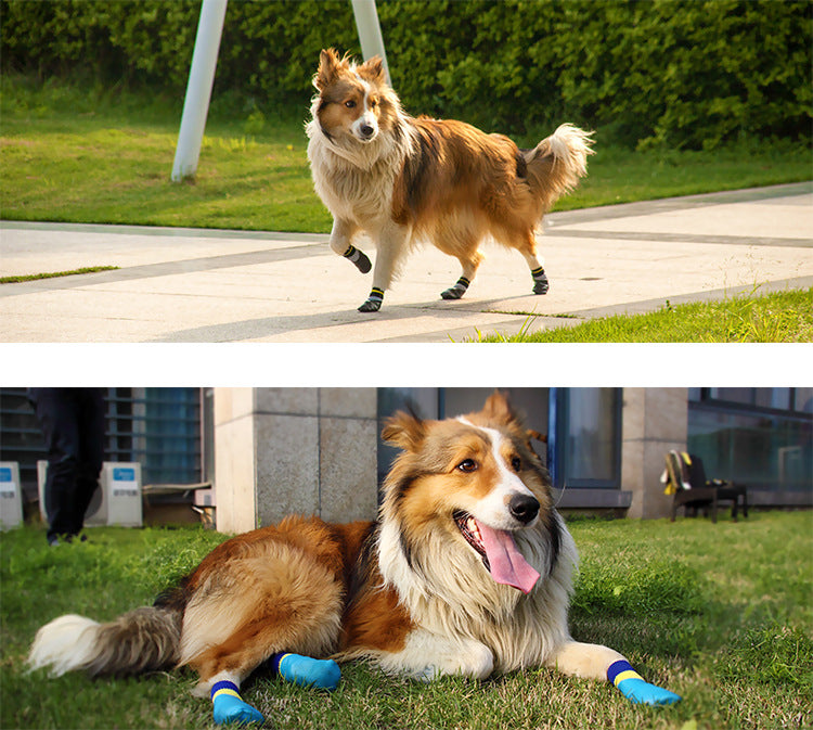 PawGuard Waterproof Dog Booties