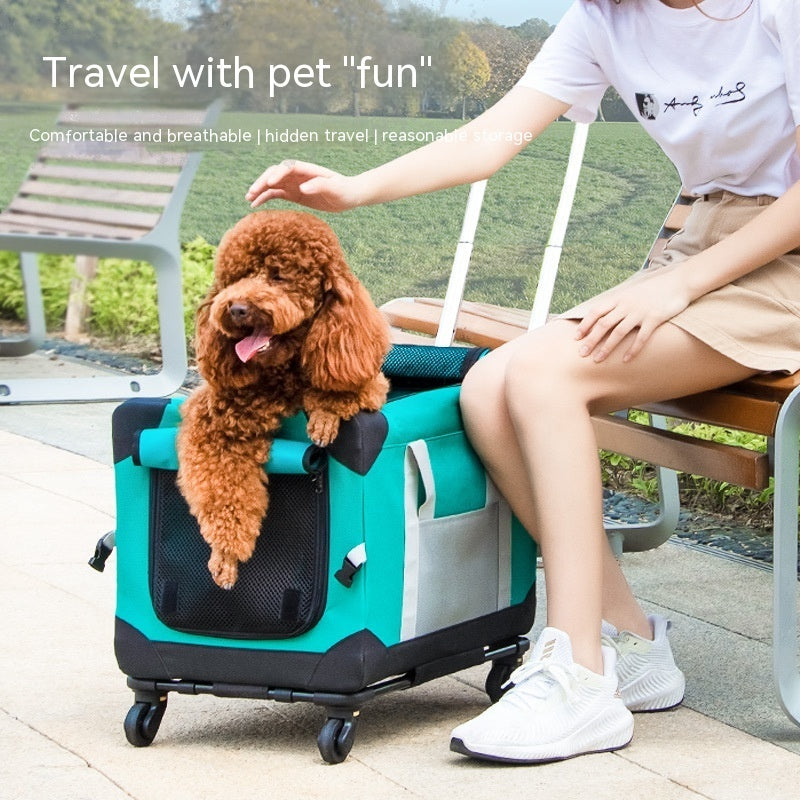 PawPal Rover – Haustier-Trolleytasche mit Autohalterung