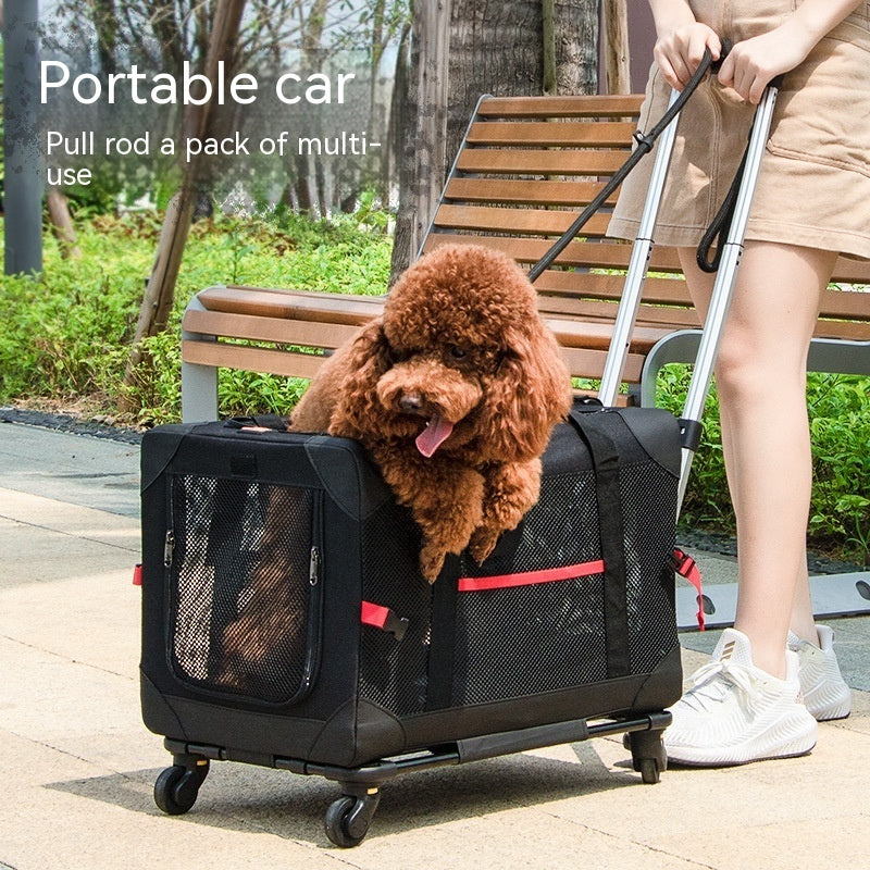 PawPal Rover – Haustier-Trolleytasche mit Autohalterung