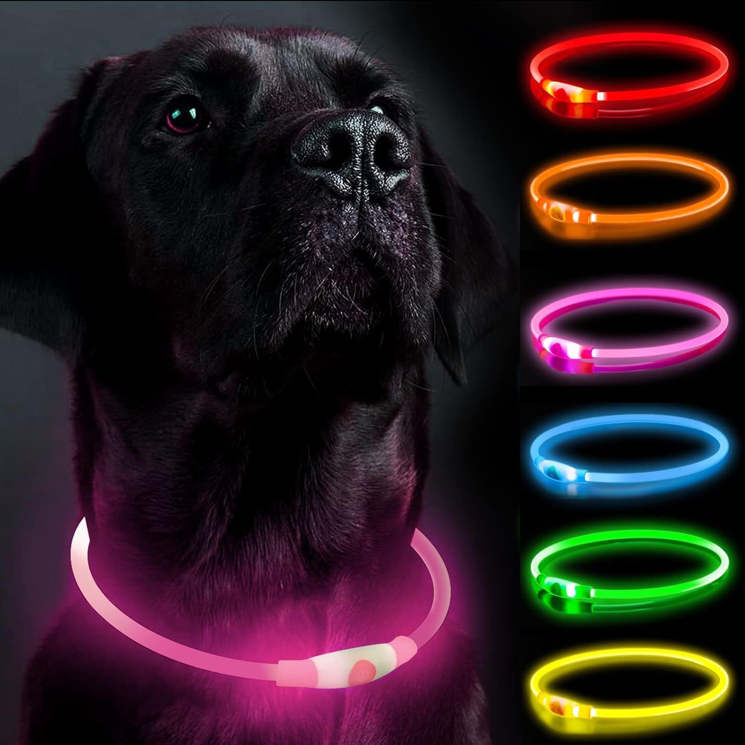 Coleira LED para Cães, Coleiras para Cães, Recarregável Brilhante para Passeios Noturnos