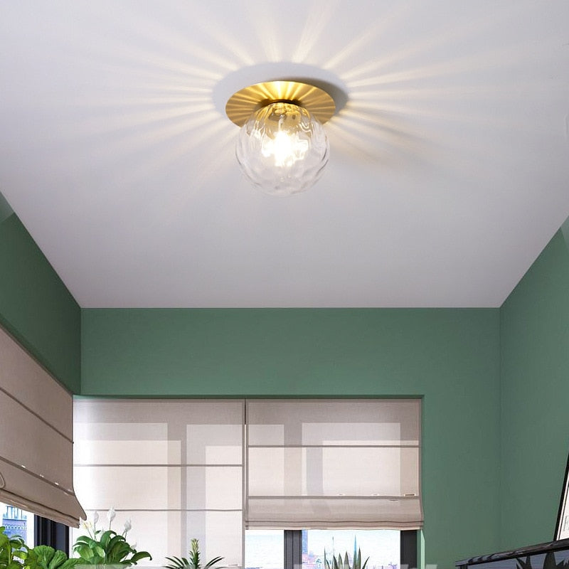 Globe and Metal Plate Ceiling Light