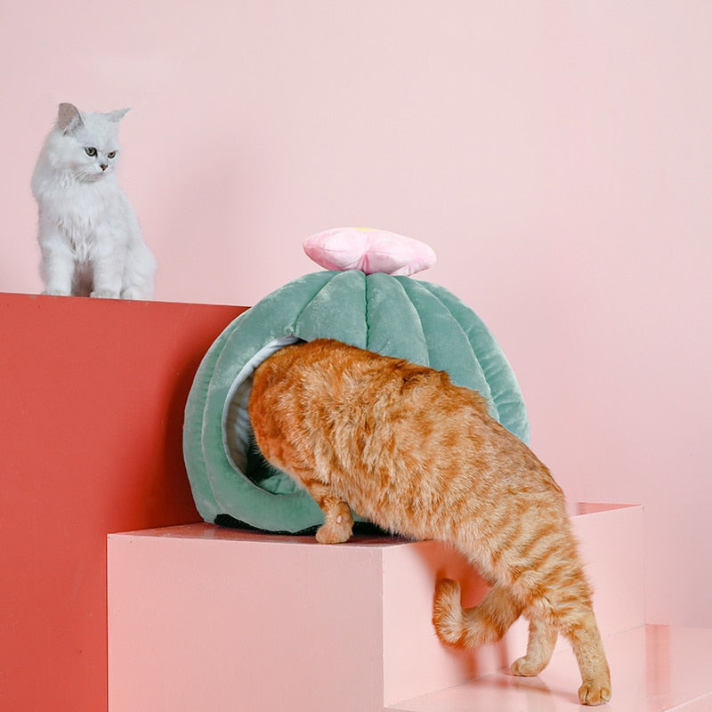 Cactus Cat Cave with Removable Cat Bed Cushion