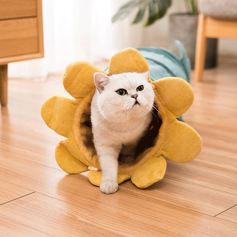 Túneis de Gato em Cordura do Jardim de Verão