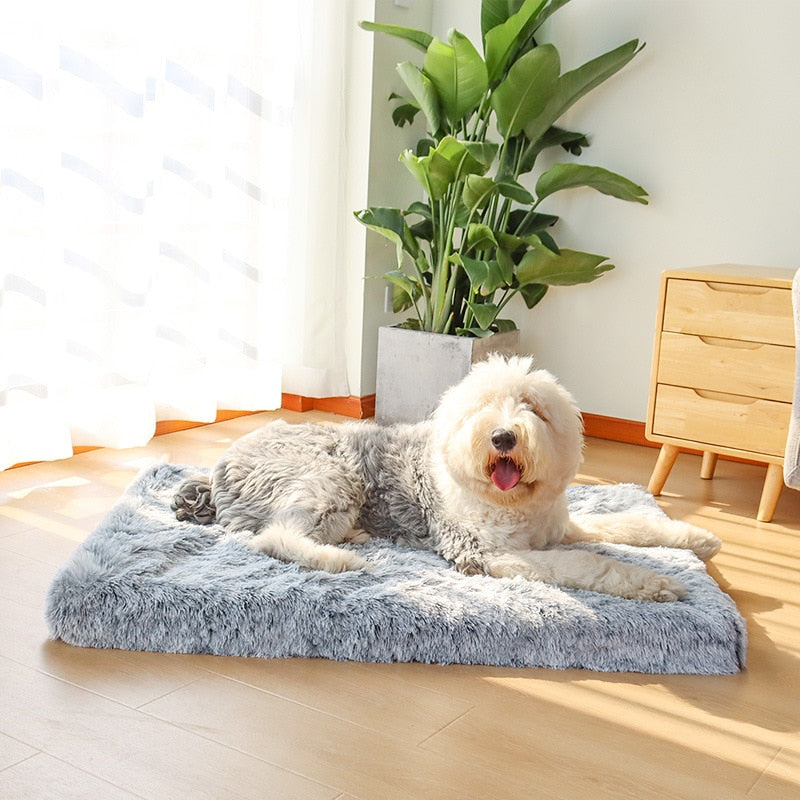 Plush Orthopedic Memory Foam Dog Mattress