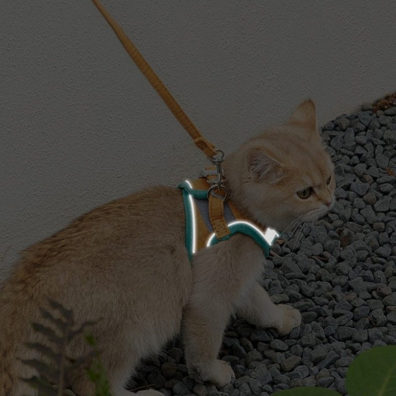 Reflective Cat Harness and Leash Collection