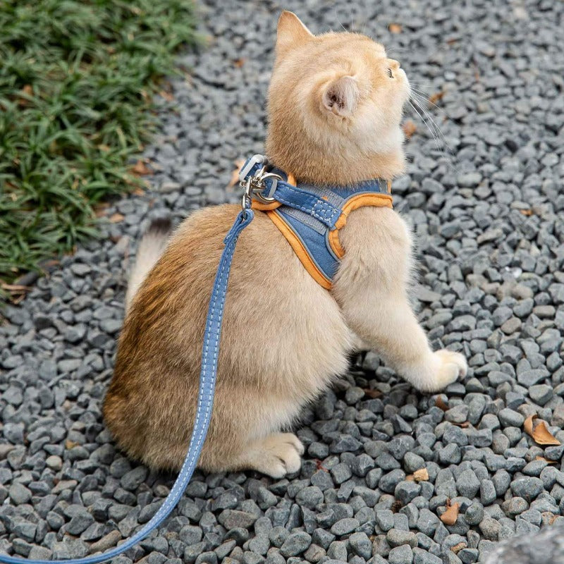 Reflective Cat Harness and Leash Collection