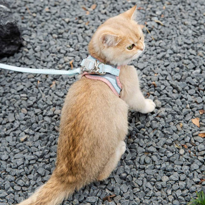 Reflective Cat Harness and Leash Collection