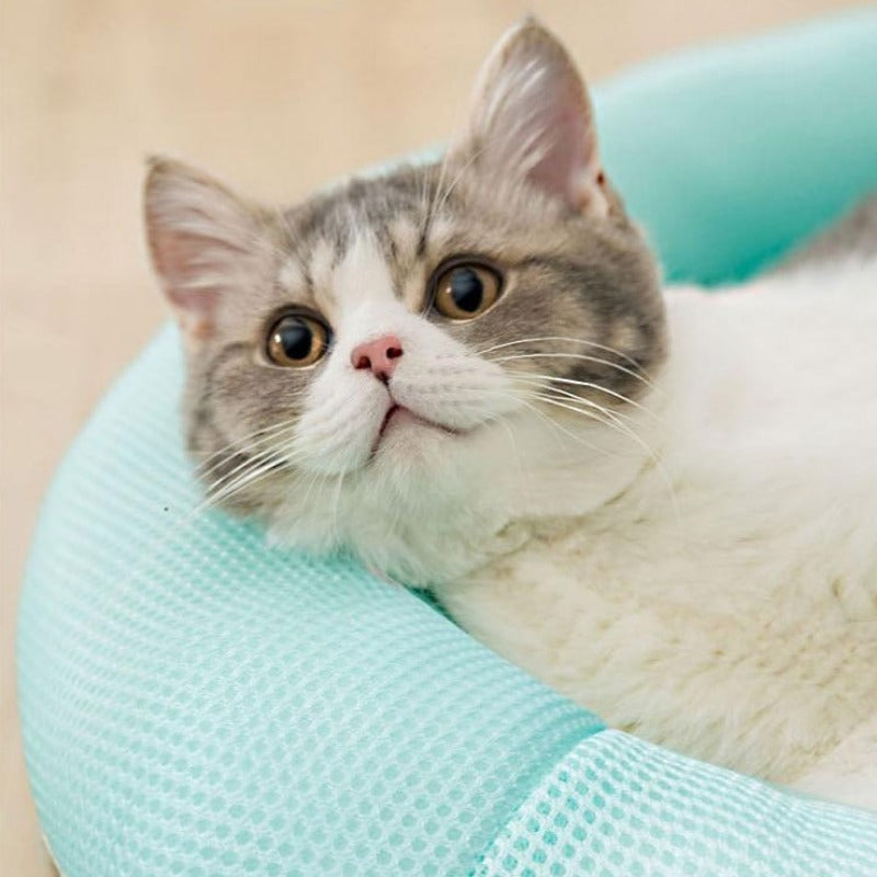 Tropical Summer Round Cat Cooling Mat