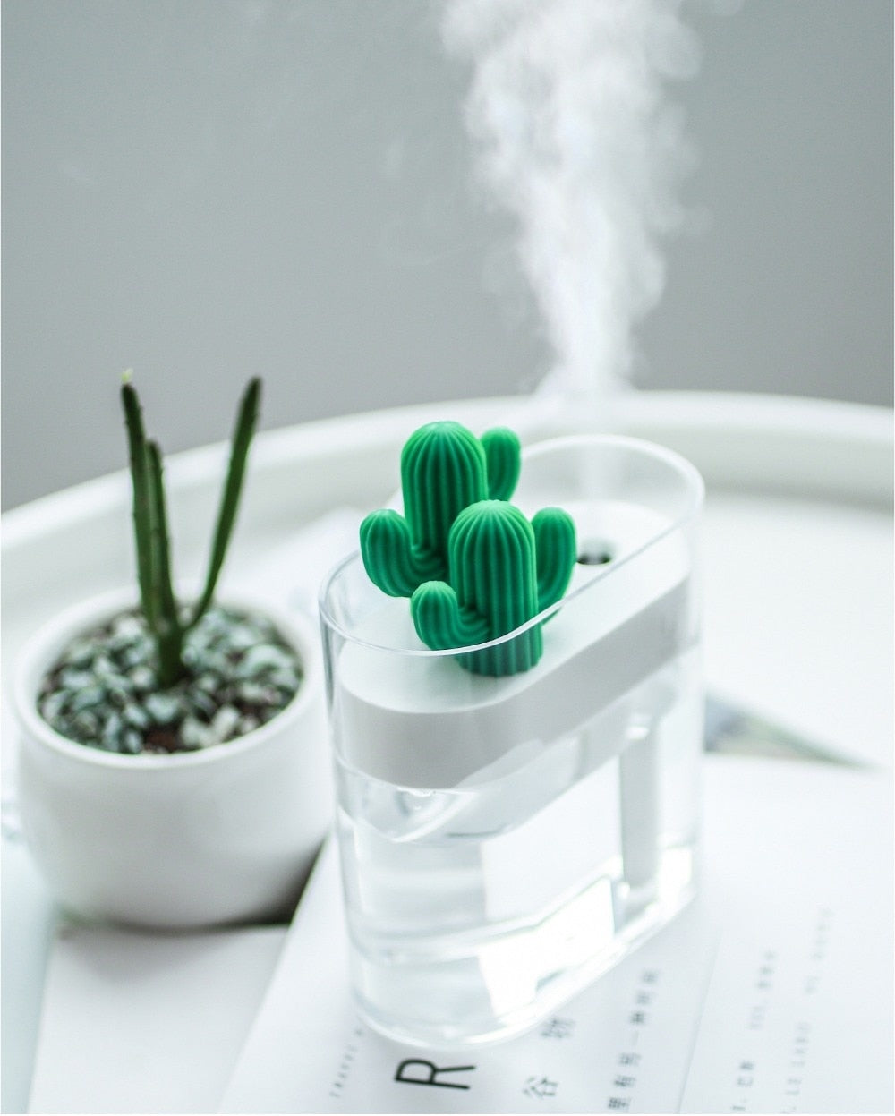 Ultrasonic Cactus Essential Oil Aroma Diffuser