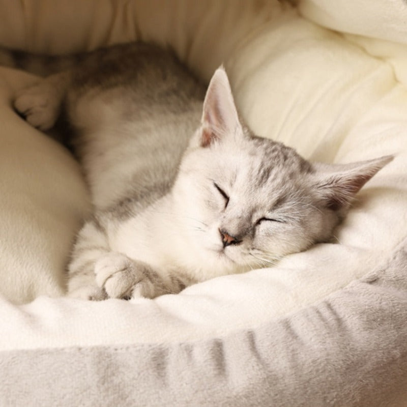 Cozy Round Calming Cat Cave Bed