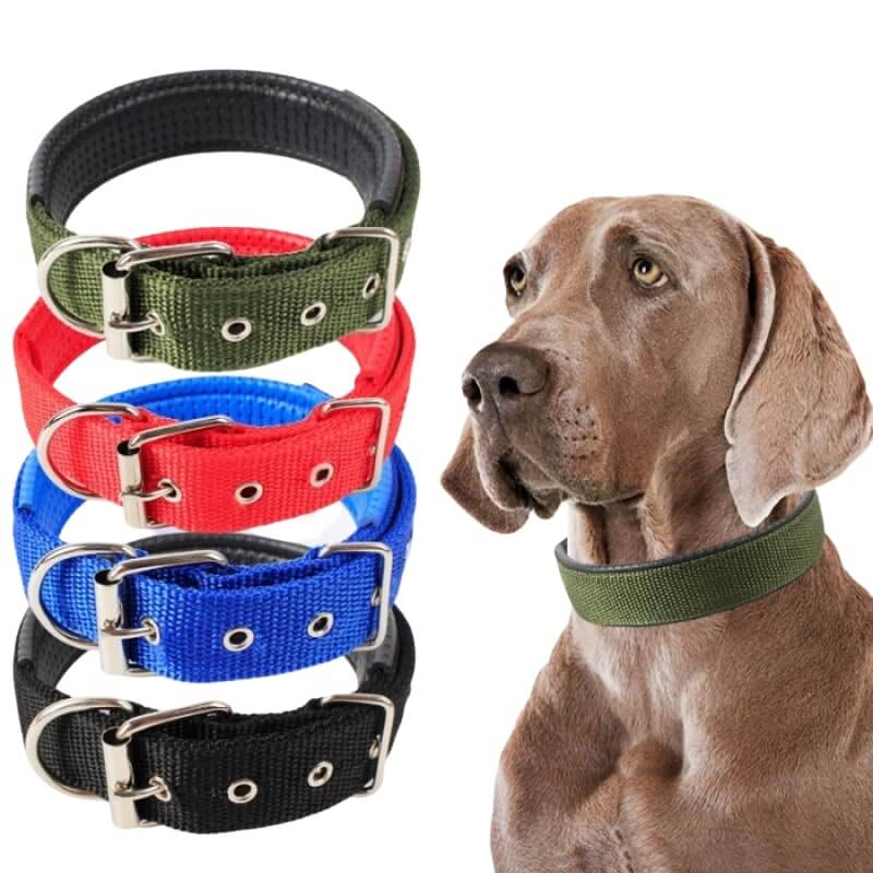 My Furry Friend™ - Adjustable Dog Collar