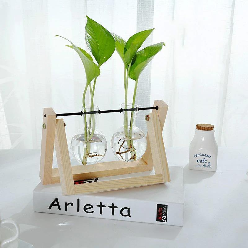 Glass Propagation Vase with A-Frame Wooden Stand