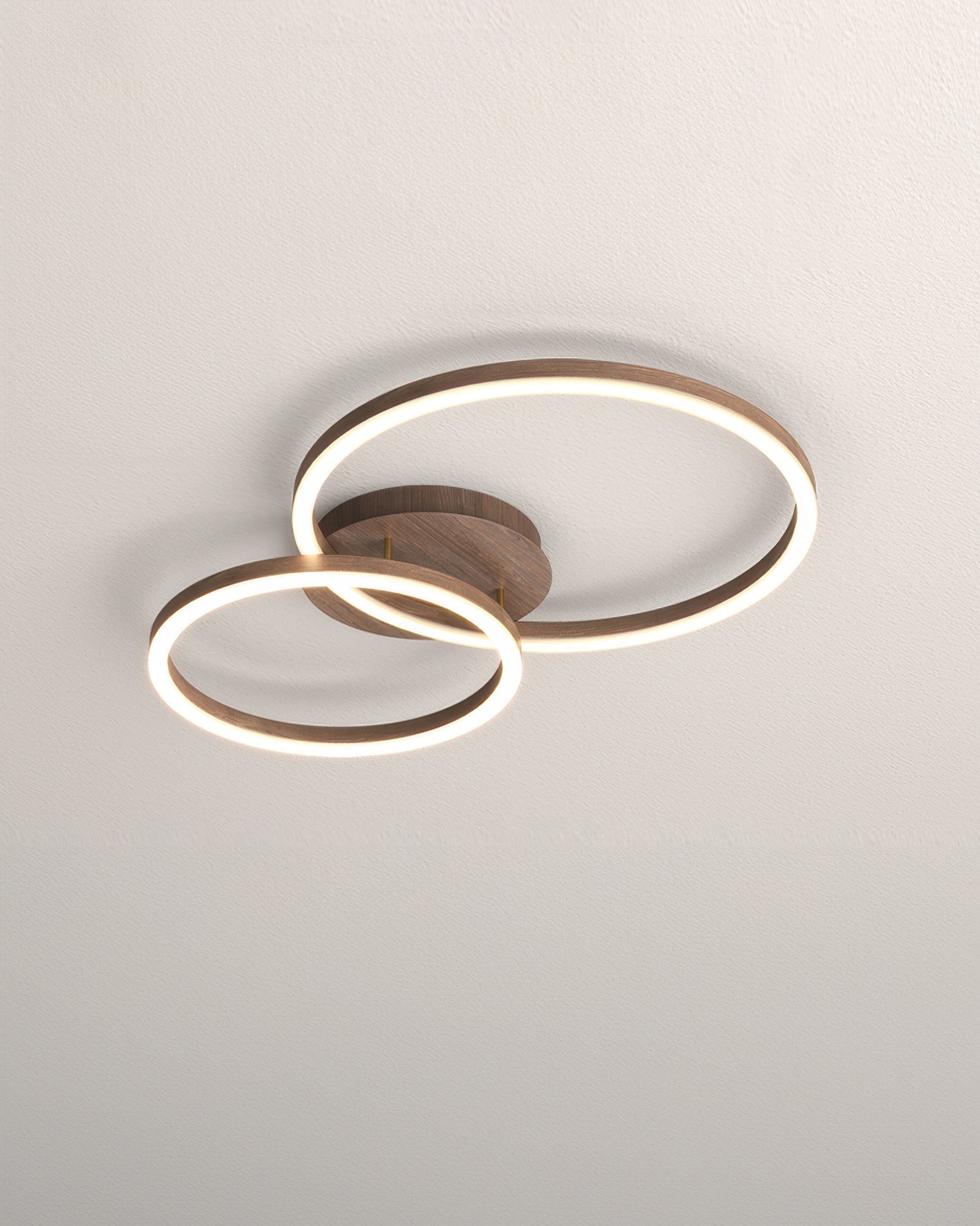 Elegant Ring Ceiling Luminaire