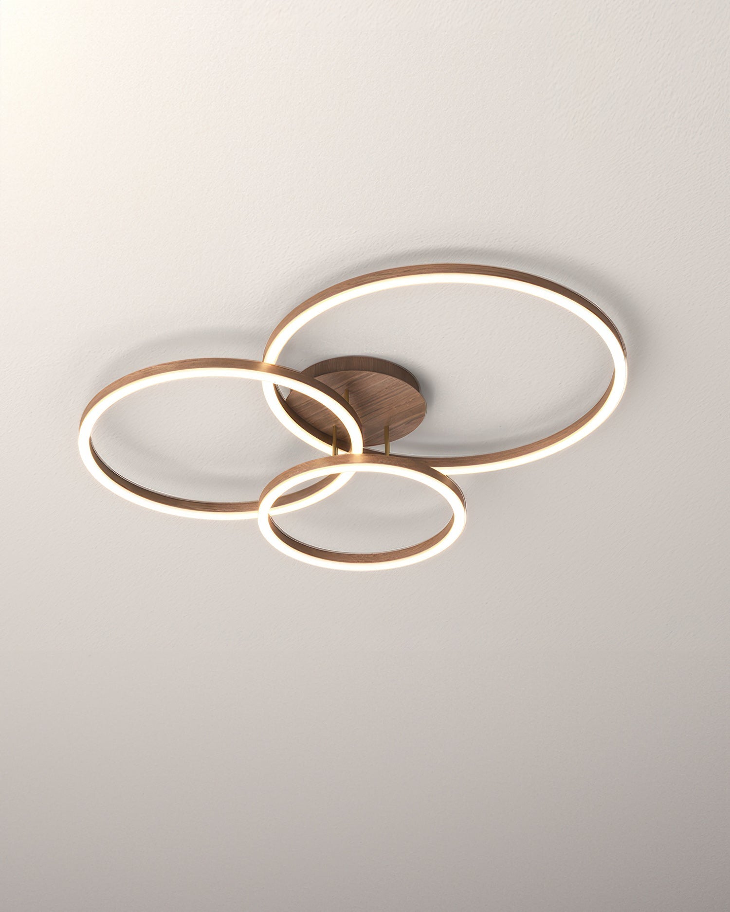 Elegant Ring Ceiling Luminaire