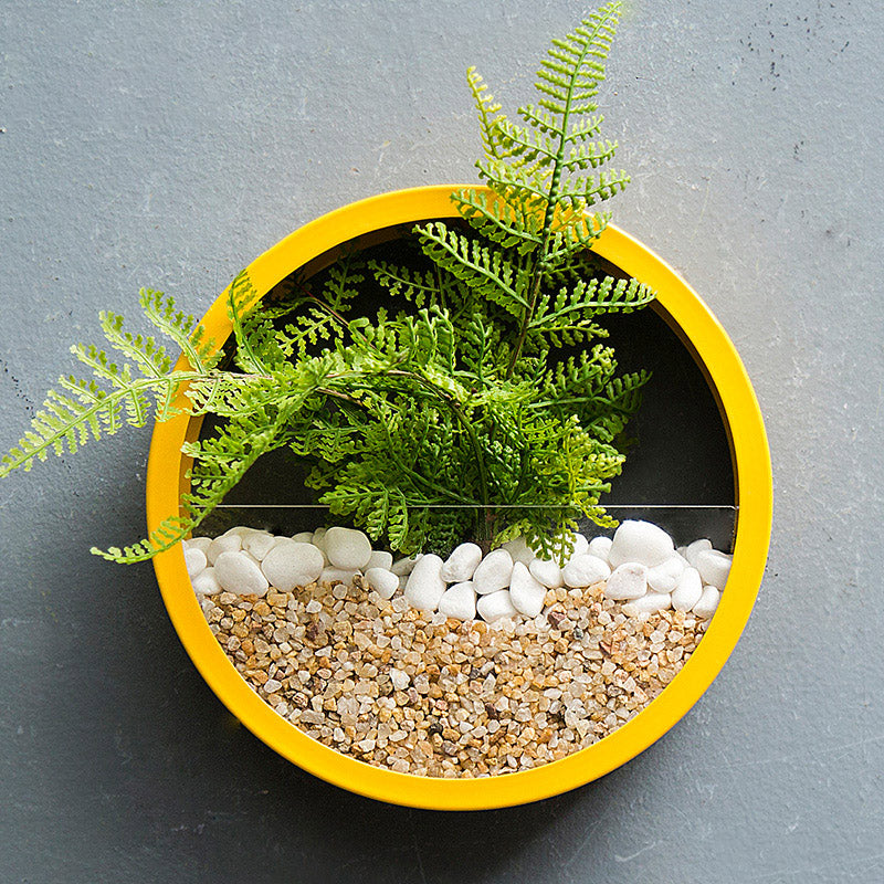 Sand Art Wall Planters Box