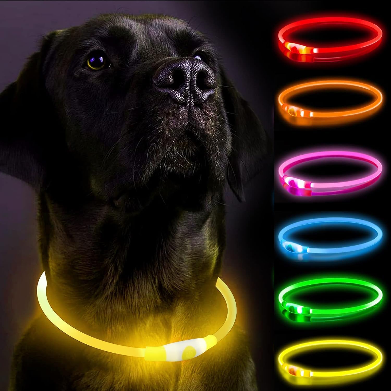 LED-Hundehalsband, Hundehalsbänder, wiederaufladbar, glänzend, für Nachtwanderungen